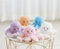 Baby Octopus Plush Toy