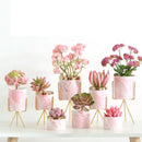 Pink marbled succulent flower pot