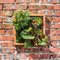 Simulation Green Frame Succulent Combination Plant Background Wall