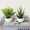 Artificial Green Potted Plants