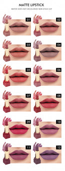 12 Colour Square Matte Lipstick