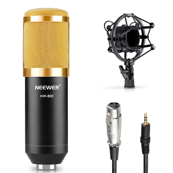 NW 800 CONDENSER MICROPHONE SHOCK MOUNT POWER CAB