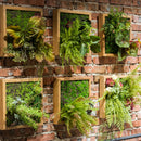 Simulation Green Frame Succulent Combination Plant Background Wall