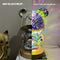 3D Firework Bear Light