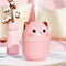 Kawaii Air Humidifier 250ML