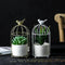 Light Luxury Iron Art Succulent Flower Pot Gilded Bird Cage Iron Frame Vase