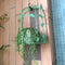 Nordic Ornament Birdcage Wall Hanging Flower Stand Retro Iron Art