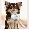 Pet Comb Self Cleaning Brush