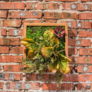 Simulation Green Frame Succulent Combination Plant Background Wall