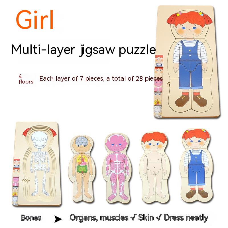 Boys' Body Structure Puzzle Children's Wooden Toys