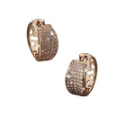 Women's Fashion Exaggerated Temperamental Earrings