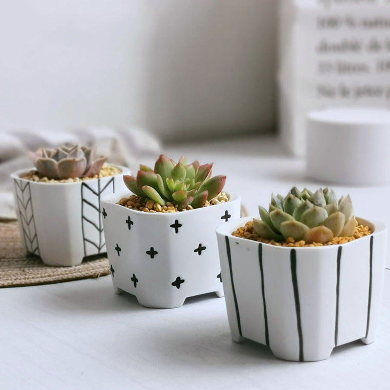 Japanese Simple Ceramic Succulent Flower Pot Green Plant Pot Container