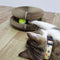 Magic Organ Cat Scratchers 2 In 1 Funny Shaped Cat Scratching Board Foldable Convenient Recyclable Durable Cat Scratcher