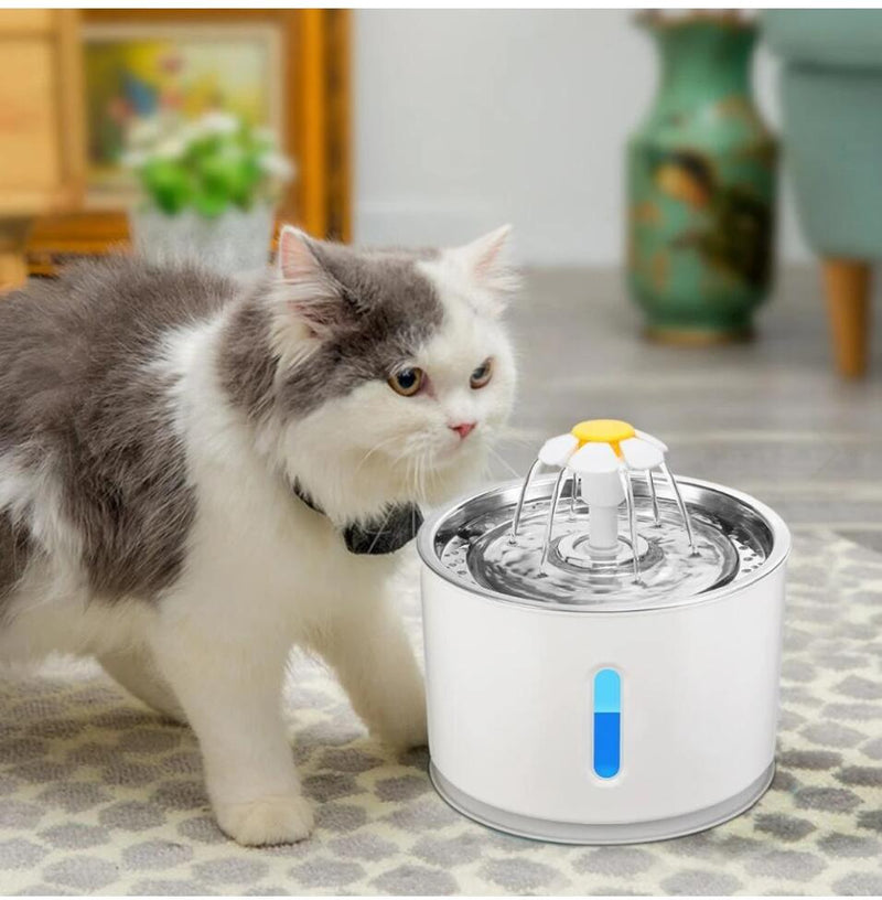 Automatic Pet Water Fountain With LED Lights